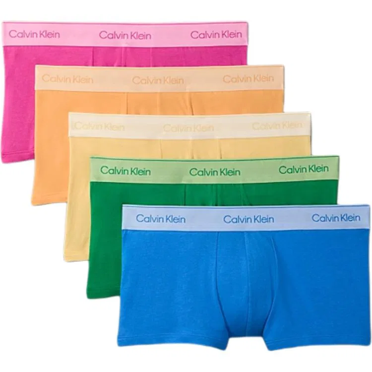 Мужские боксеры с логотипом на поясе, комплект из 5, Calvin Klein, Multicolor
