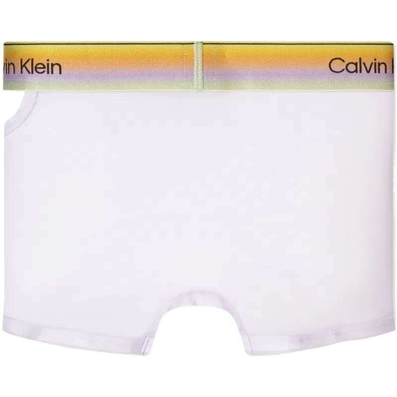 Мужские боксеры Calvin Klein, Lavender — фото 3
