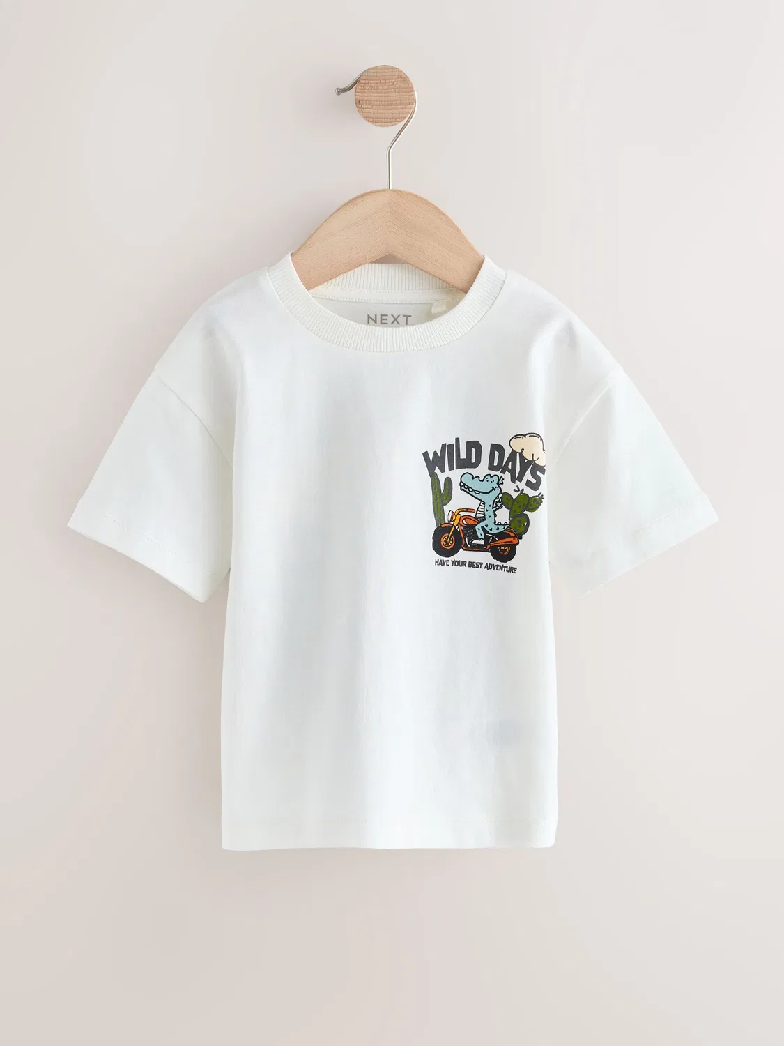 Футболка с динозавром, Oversized Next, Белый