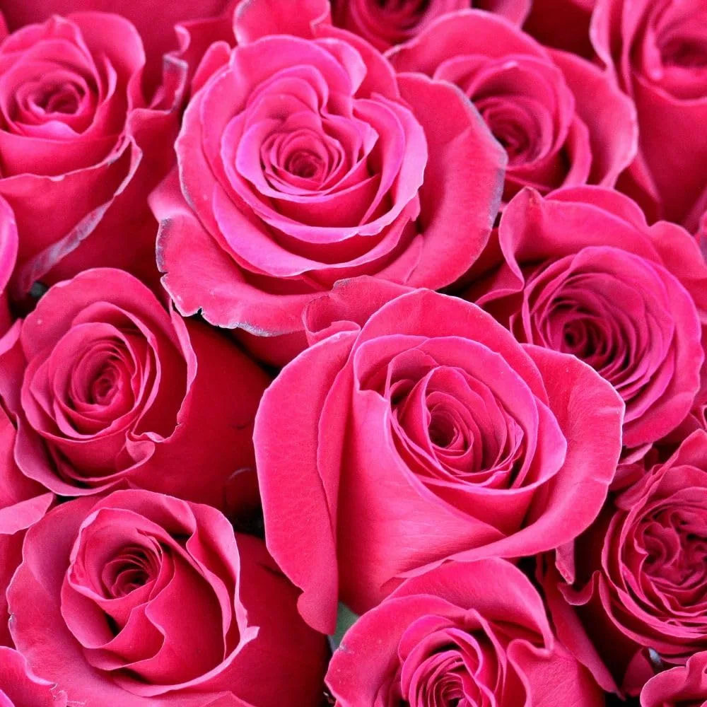 Мыло Pink Bouquet, BIOFRESH, 50 г — фото 2