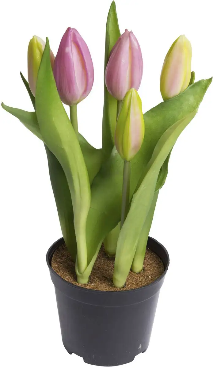 

Мой домашний искусственный цветок "тюльпан с 5 бутонами" My home Ø/12х23 см, лиловый