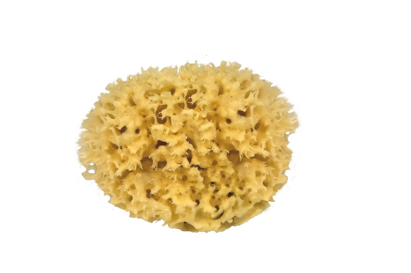 Натуральная морская губка Sphere, Croll & Denecke, 1 шт, Natural