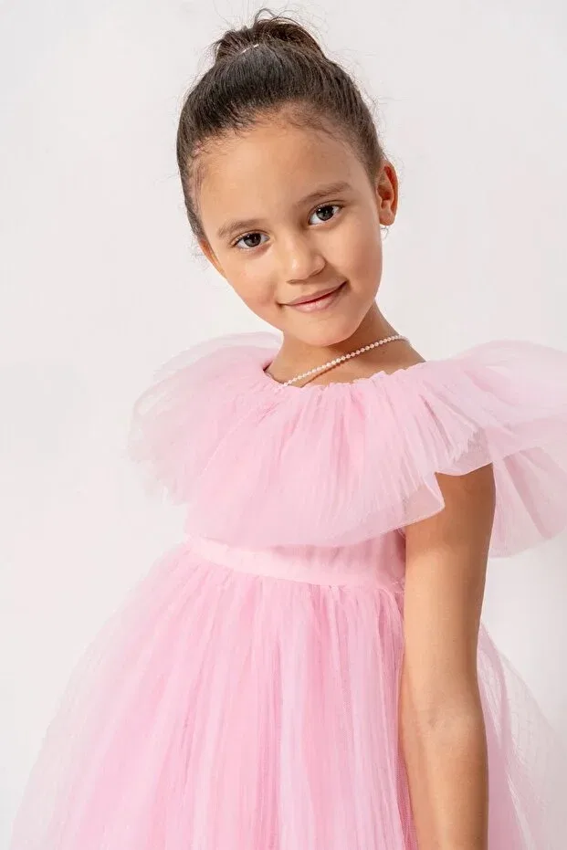 Детское платье для девочек с принтом Henrietta pleated tulle puffy special occasion dress with bag Banamio, Light Pink