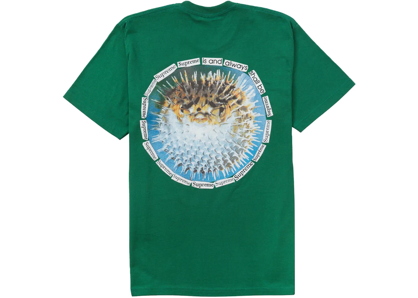 Мужская футболка с принтом Tee Supreme, Light Pine