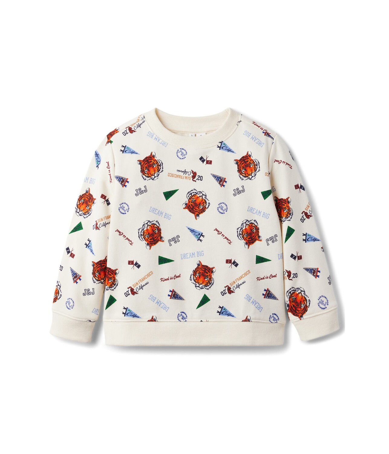Пуловер Janie and Jack, Printed Pullover Sweatshirt