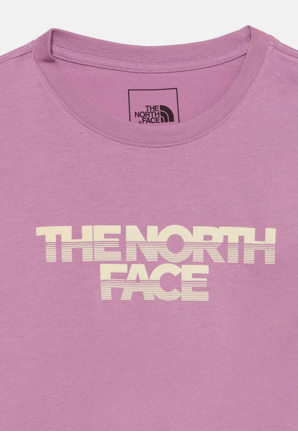 Футболка Chalbi с графическим принтом, унисекс The North Face, Hushed Lavender — фото 4