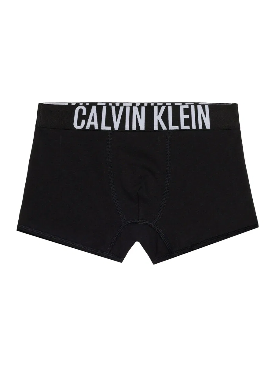 Трусы Calvin Klein Underwear Regular Underpants с логотипом на поясе, черные