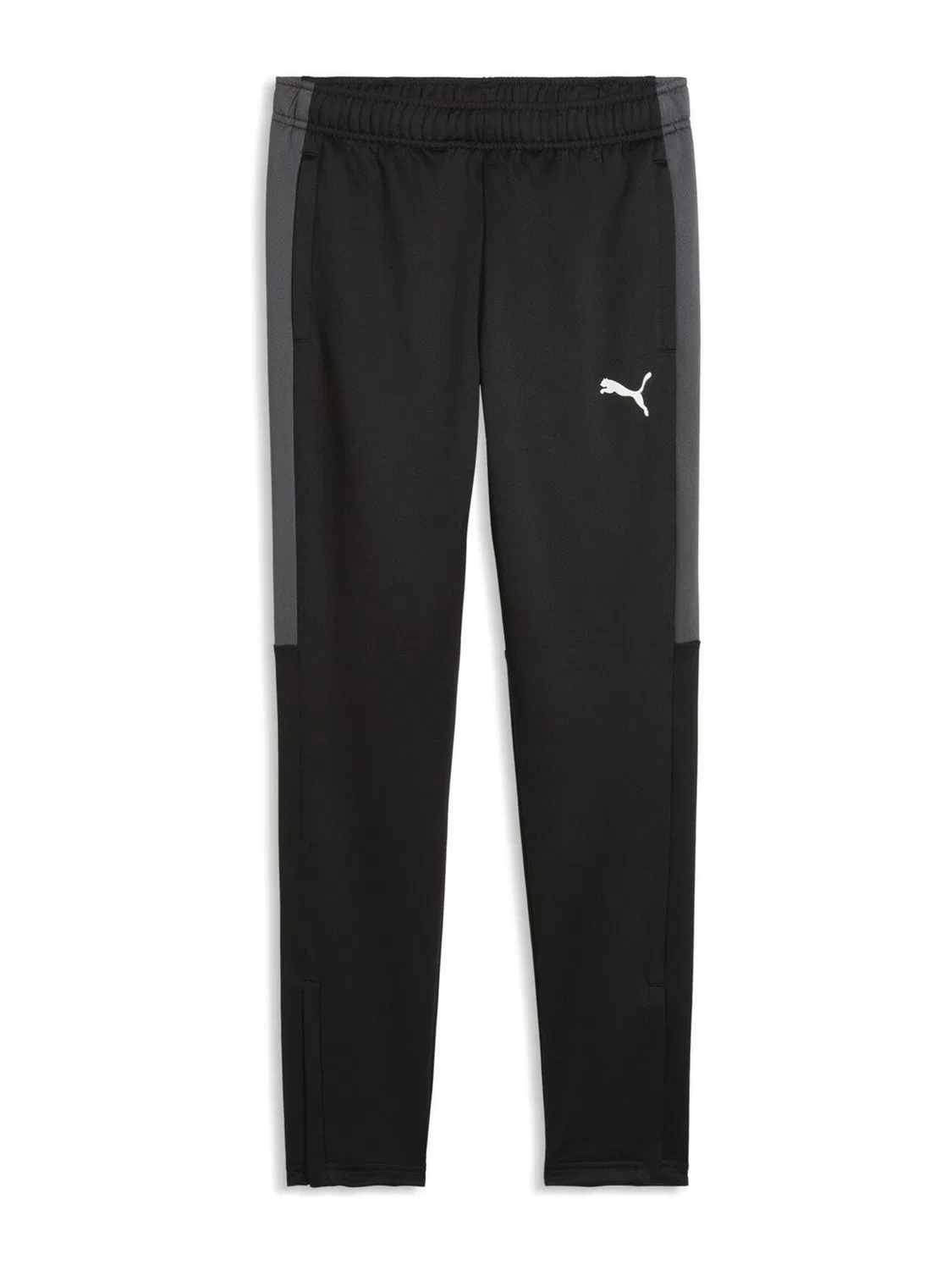 Штаны тренировочные футбольные IndividualLIGA Puma, черный