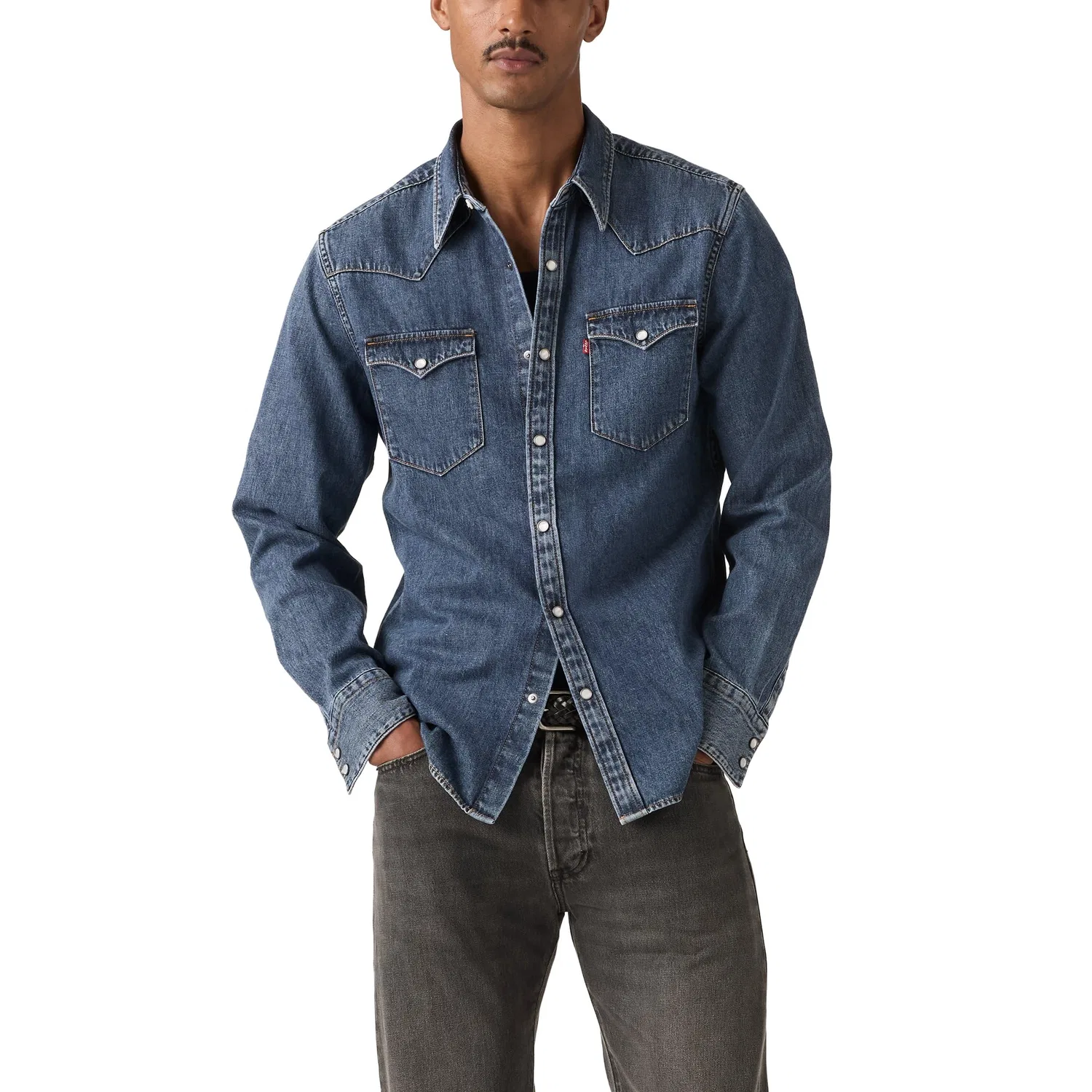 Мужская рубашка с принтом Barstow Western Levi's, Solucell Western