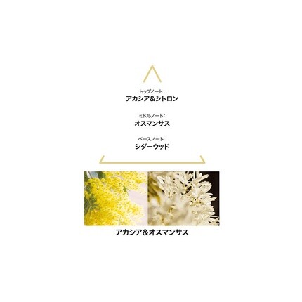 Женская туалетная вода Le Couvent Des Minimes Intense Botanical Aquamajestae EDC 100ml — фото 3