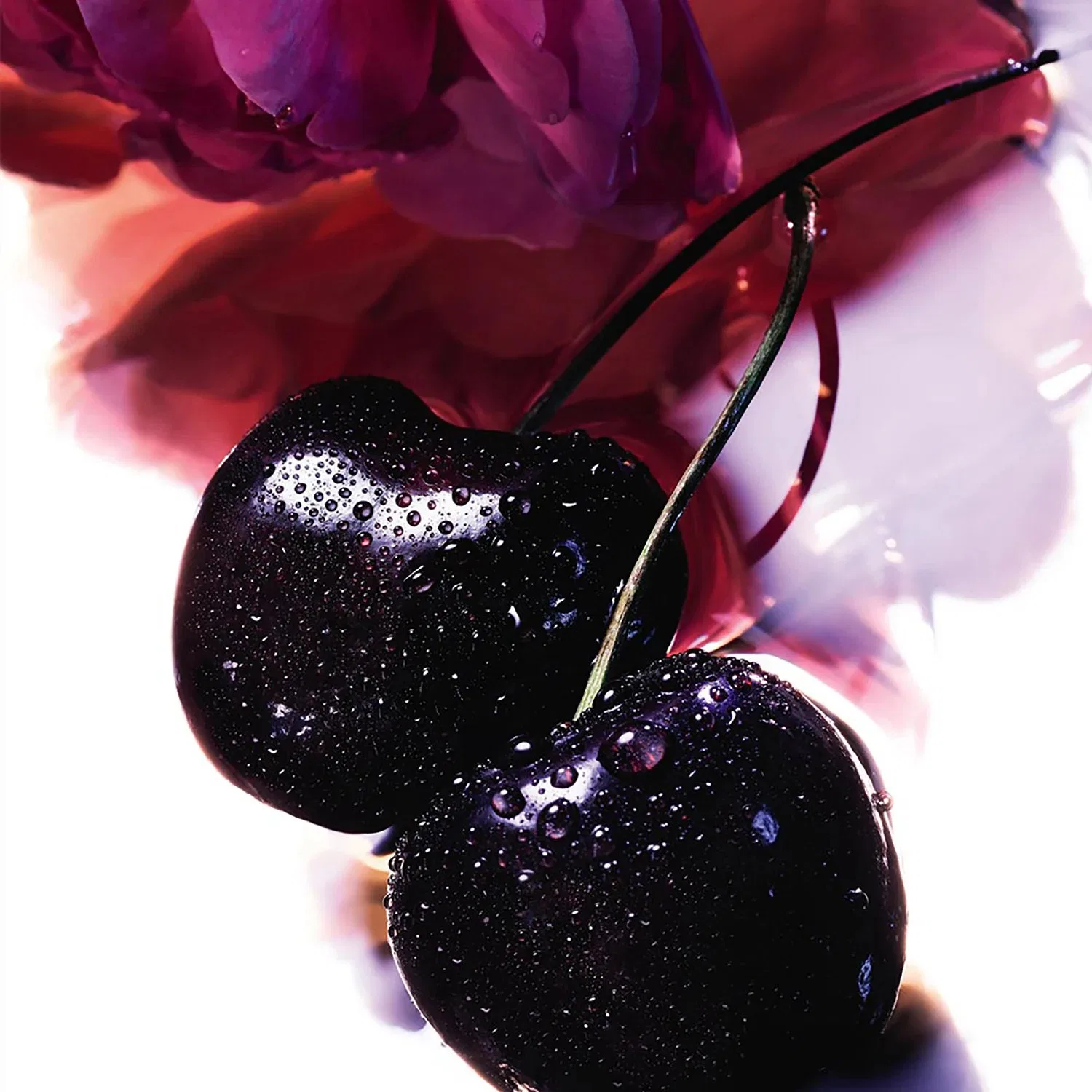Парфюмерная вода La Petite Robe Noire 50 мл GUERLAIN — фото 3