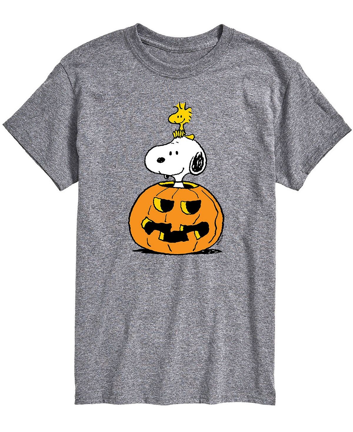 

Мужская футболка peanuts snoopy pumpkin AIRWAVES, серый