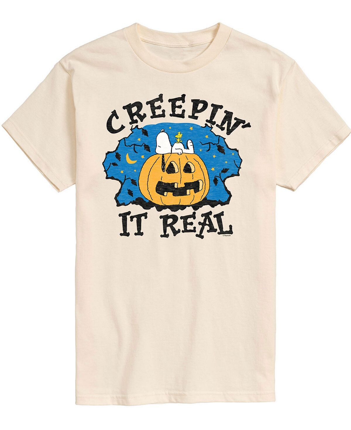 

Мужская футболка peanuts creepin it real AIRWAVES, мульти, Серый, Мужская футболка peanuts creepin it real AIRWAVES, мульти