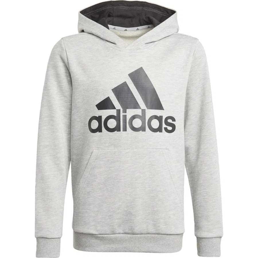 Детский худи с капюшоном Sportswear GN4019 adidas, Серо-черный
