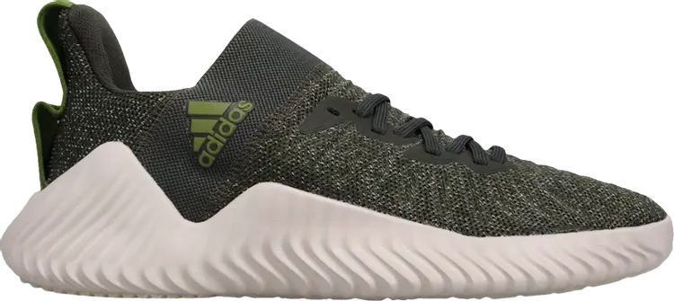 

Лимитированные кроссовки Adidas Alphabounce Trainer 'Tech Olive', зеленый