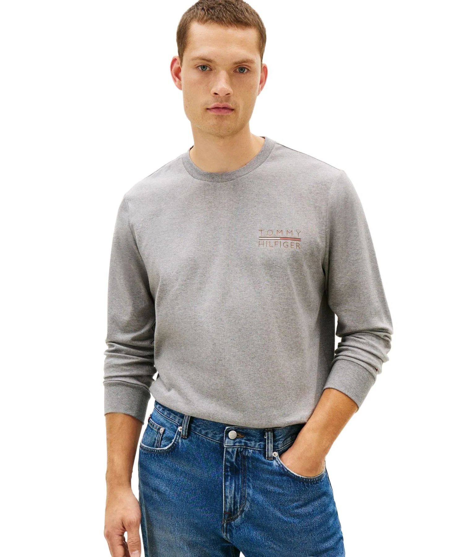 Мужская футболка с длинным рукавом TOMMY HILFIGER с логотипом серая