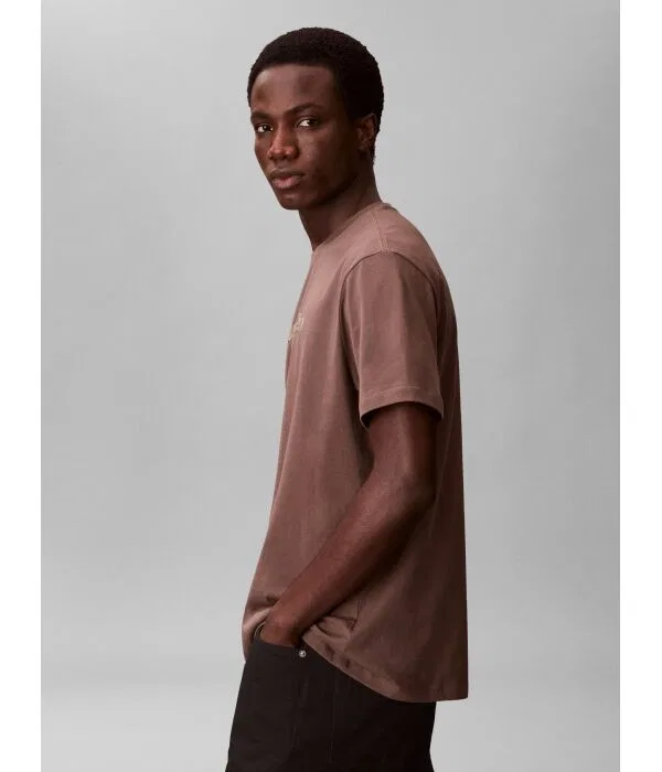 Мужская футболка хлопковая Regular Fit Calvin Klein, коричневый — фото 4