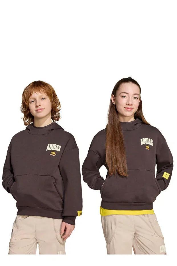 Детское худи для мальчиков с капюшоном Adidas, Brown
