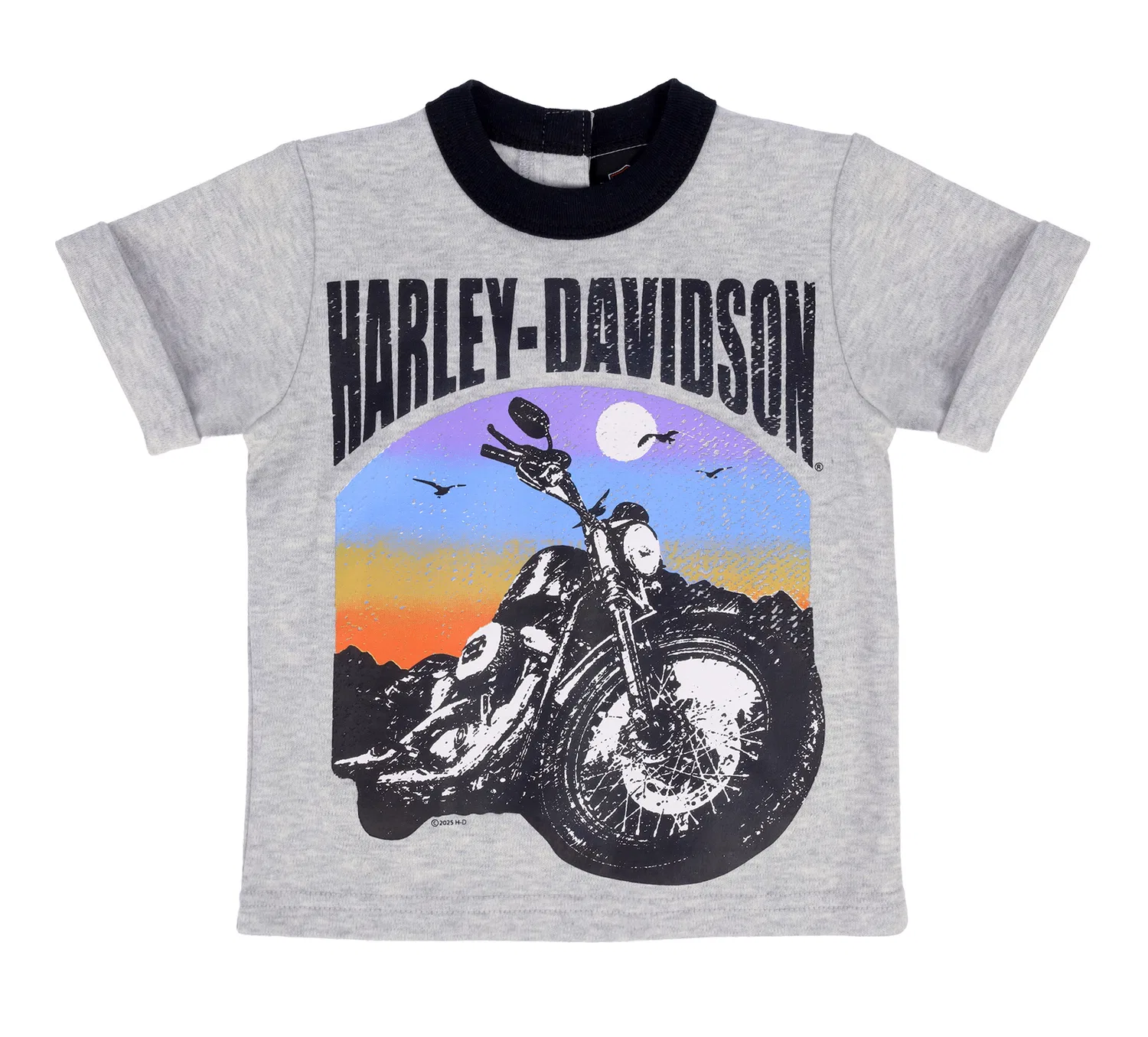 Детский трикотажный комплект с принтом мотоцикла и логотипом H-D Harley Davidson, Grey Heather/Black — фото 3