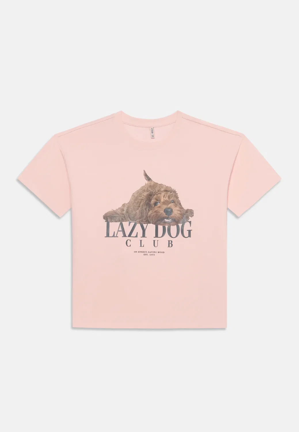 Футболка Kogbillie ss loose print с принтом Only Girls, Chalk Pink — фото 3