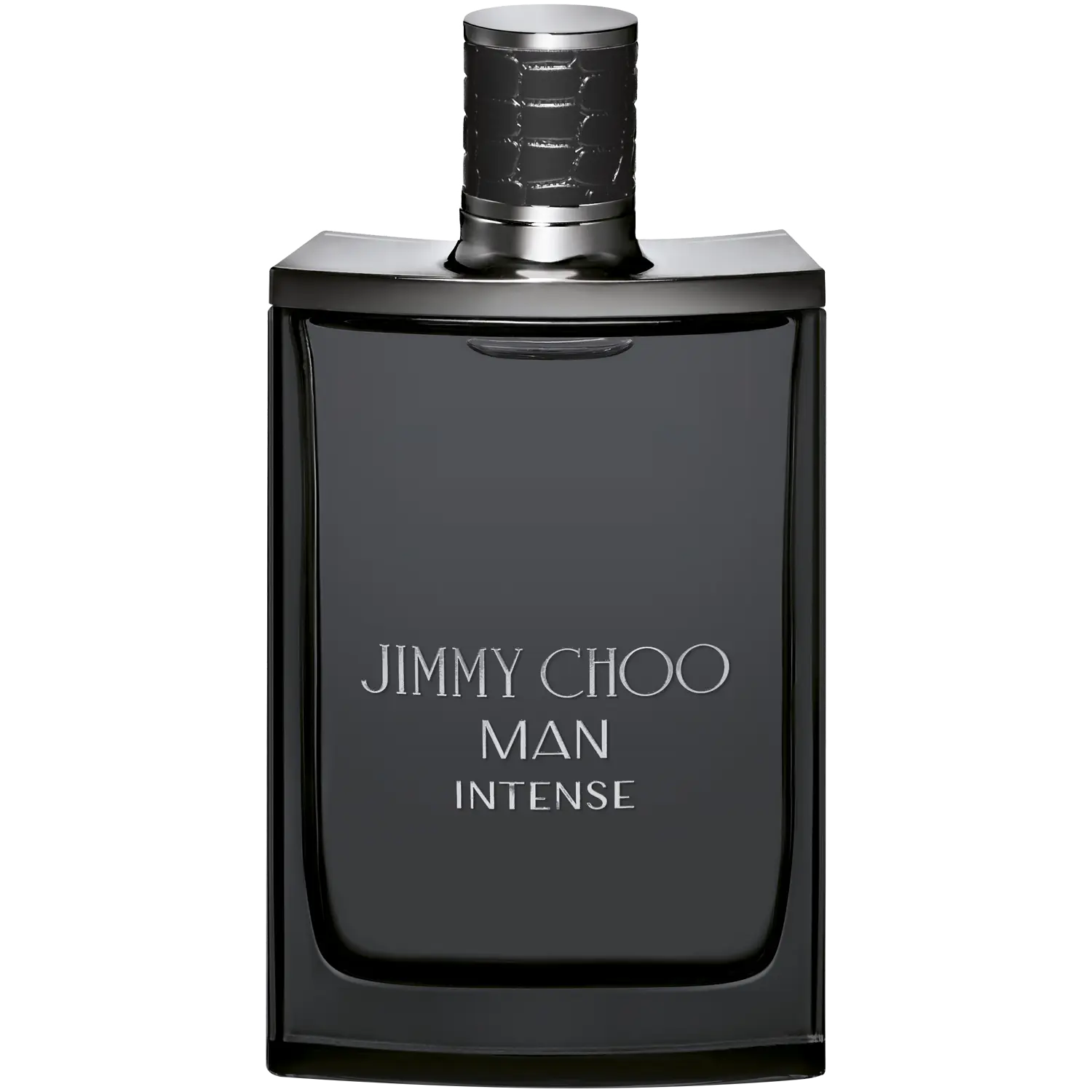 

Мужская туалетная вода Jimmy Choo Intense, 100 мл