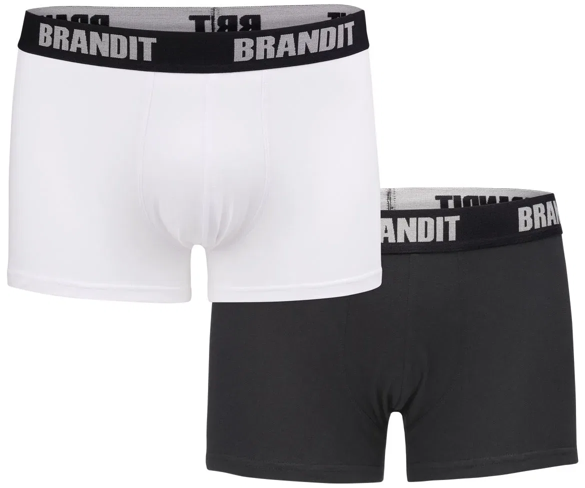 Мужские боксеры Logo 2 Pack Brandit, White