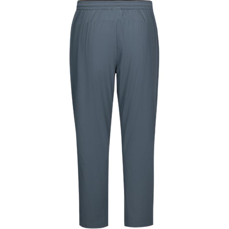 

Спортивные штаны для тренировок SS24 мужские SPYDER, серый