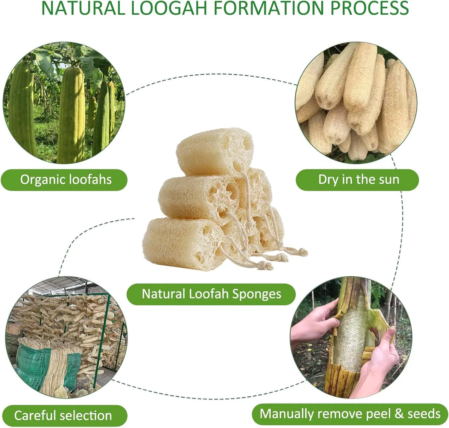 Люффа Натуральная для Душа, Бренд FRTIM, 6 шт, Loofah — фото 2