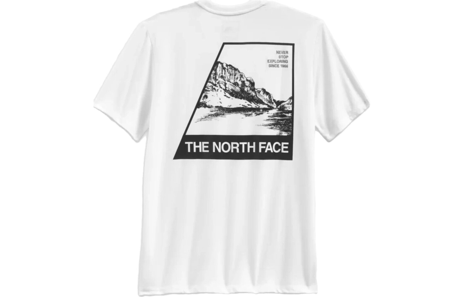 

Футболка мужская белая The North Face, белый