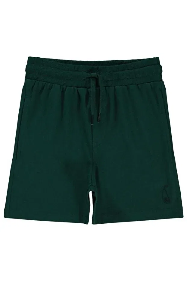 Детские шорты для мальчиков хлопковые Sail embroidered single jersey 2-5 years old capri Civil Boys, Emerald Green