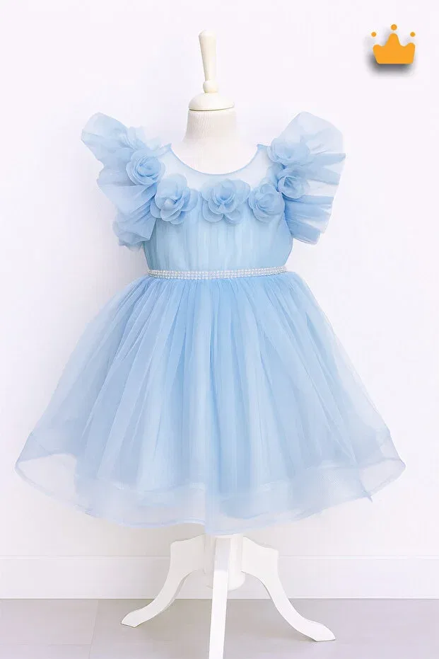 Детское платье для девочек с коротким рукавом Rose Detailed Minimony, Blue — фото 3