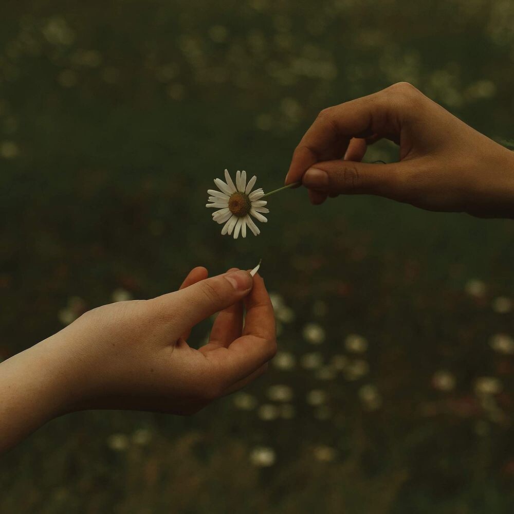 

Диск CD Time It Takes - Goldmund