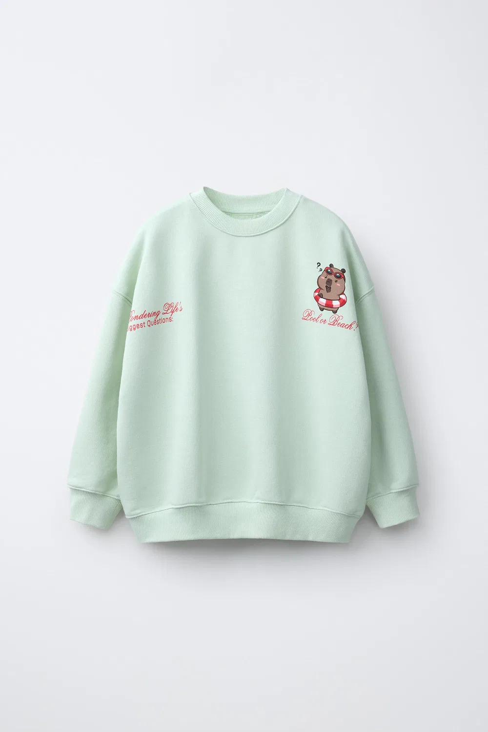 CAPIBARA CAPYFUN СВИТШОТ С ПРИНТОМ ZARA, Light Green