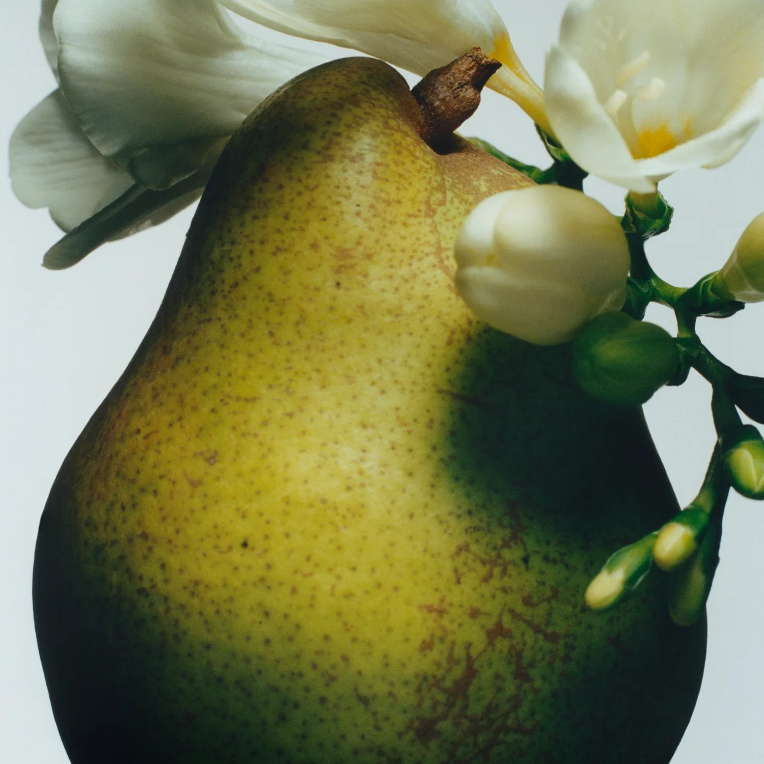 Парфюмерная вода English Pear & Freesia, 9 мл, Jo Malone London — фото 2