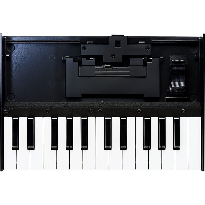 

Клавиатурный блок Roland K-25m серии Boutique K-25m Boutique Series Keyboard Unit