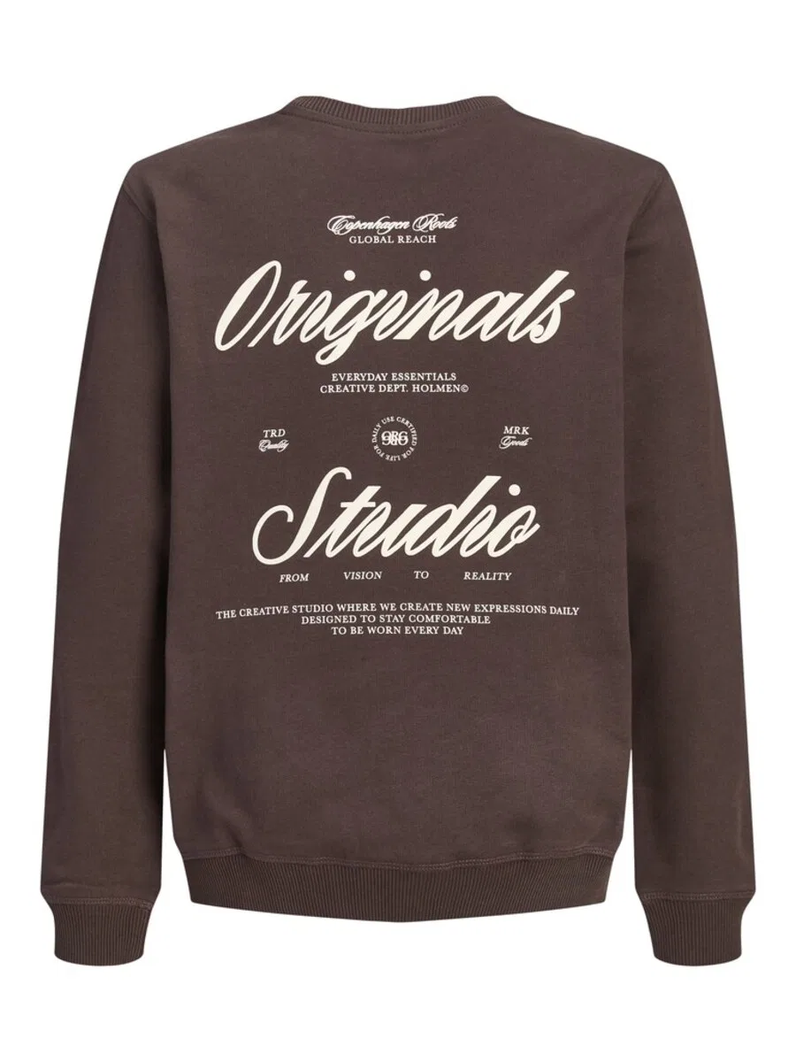 Детская толстовка Jack & Jones Junior 'JORNORREBRO' шоколадного цвета — фото 3
