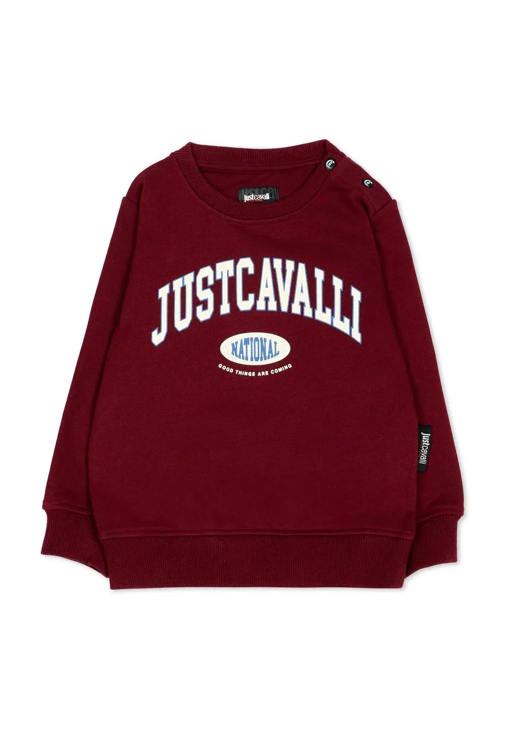 Фелпа - толстовка Just Cavalli, Bordeaux