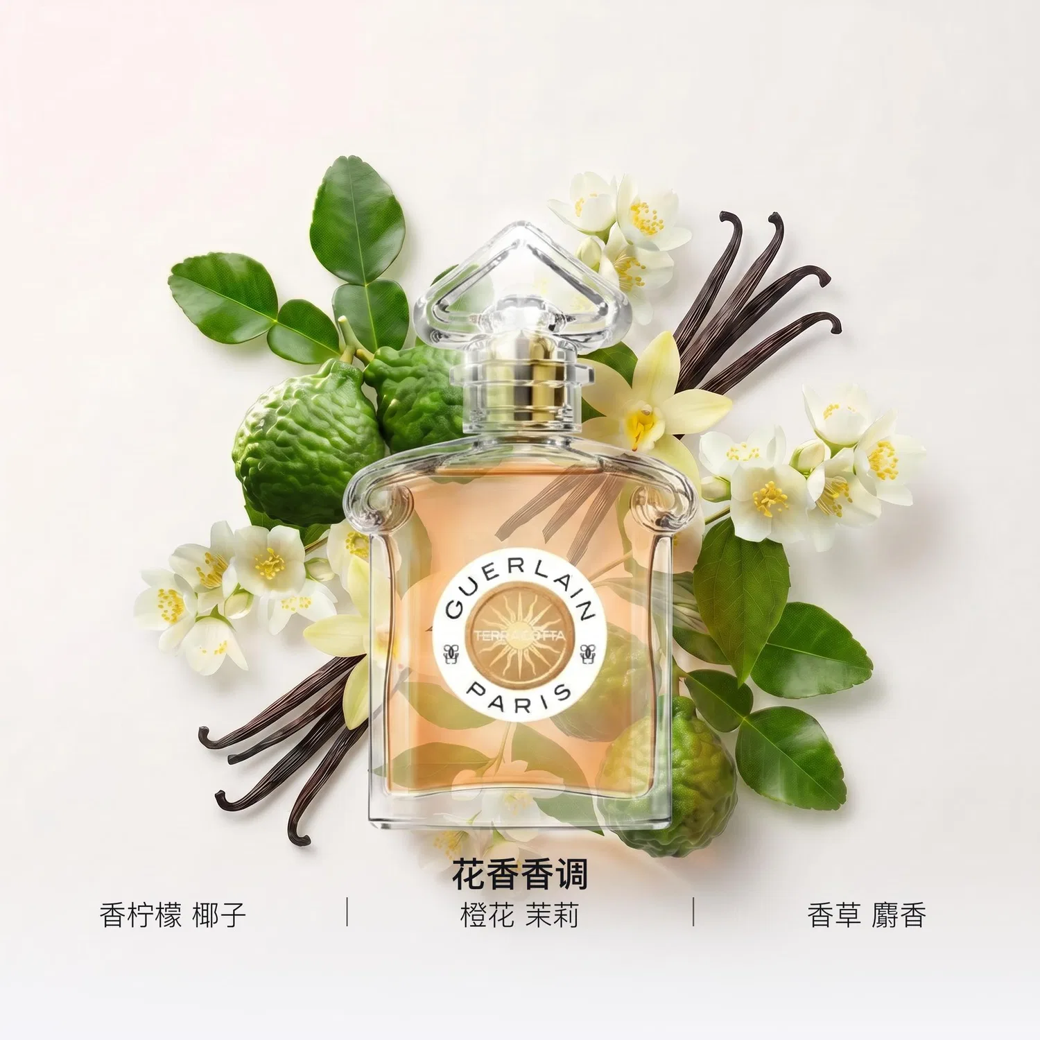 Парфюмерная вода Terracotta, 75 мл, GUERLAIN, Bergamot Coconut — фото 2