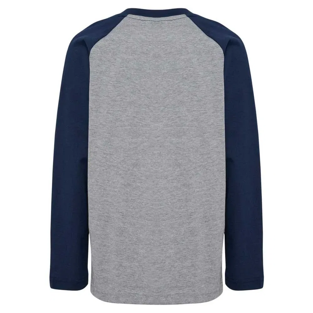 Футболка с длинным рукавом Raglan Loose Bee Hummel, серый — фото 4