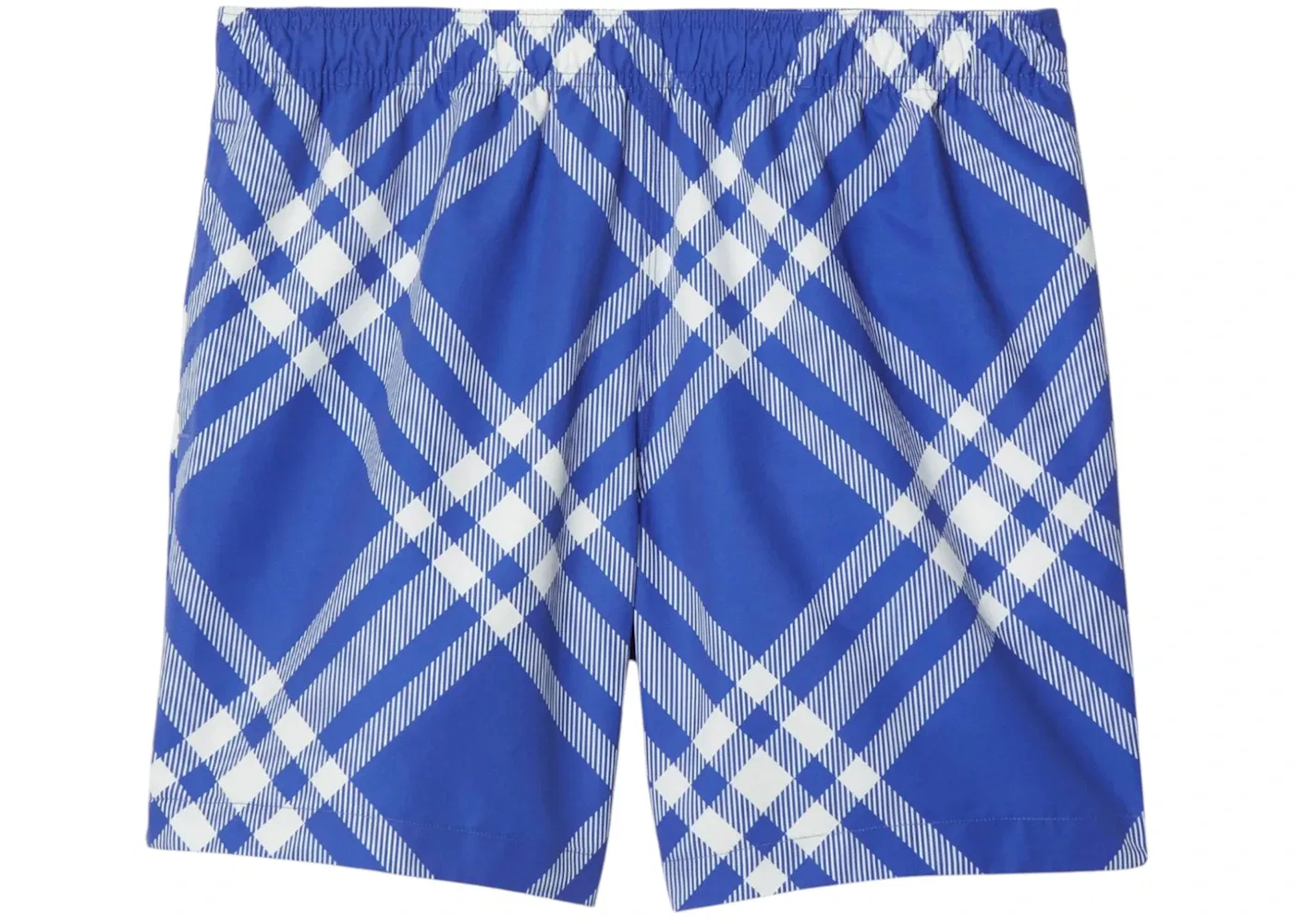 Мужские плавки с принтом Swim Shorts Burberry, Blue/White