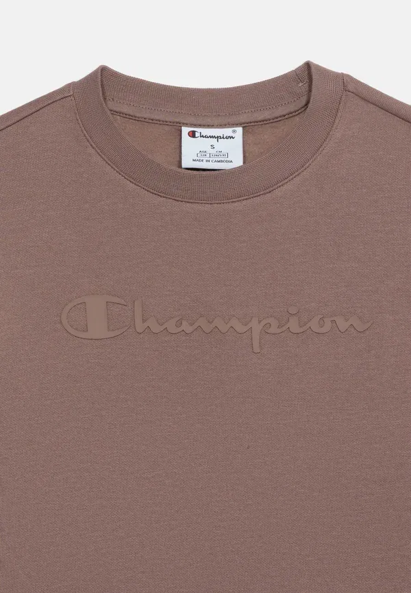 Толстовка с круглым вырезом, стандартный крой Champion, коричневый — фото 4