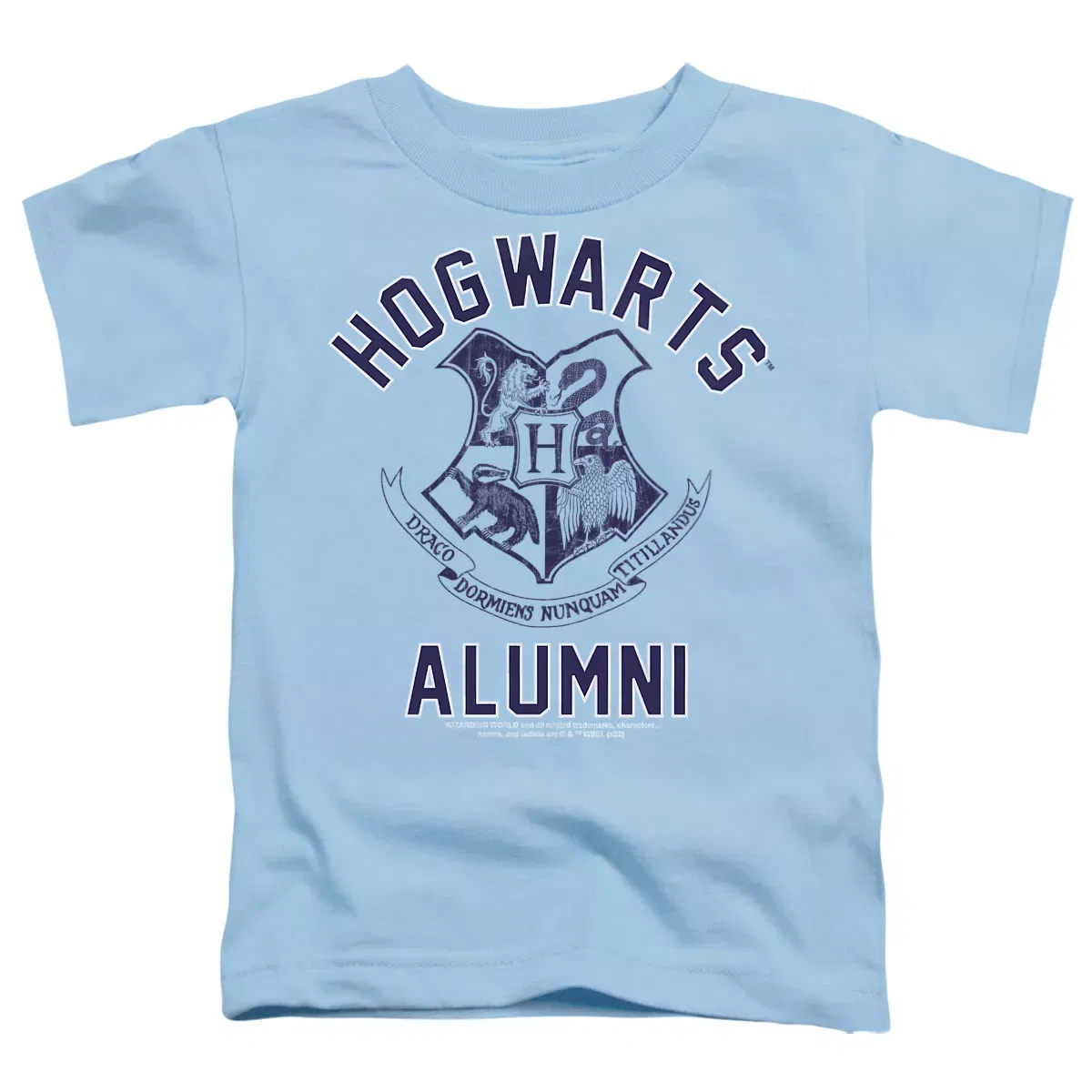Детская футболка для мальчиков с принтом Harry Potter Hogwarts Alumni Harry Potter, Light Blue