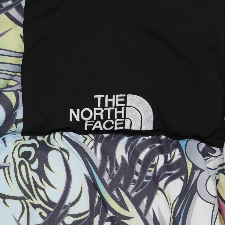 Парка Supreme x The North Face 700-Fill Down Parka 'Multicolor Dragon', разноцветный — фото 4
