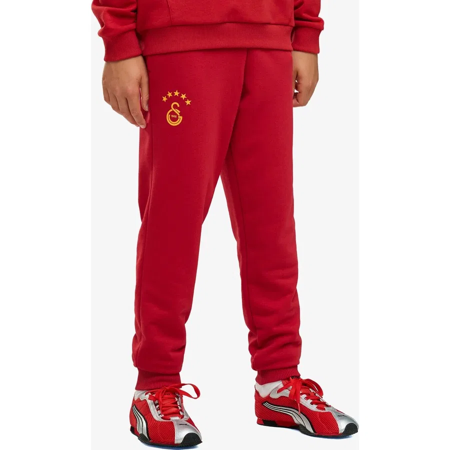 Спортивные штаны Galatasaray 26/27 Puma, Темно-синий — фото 2