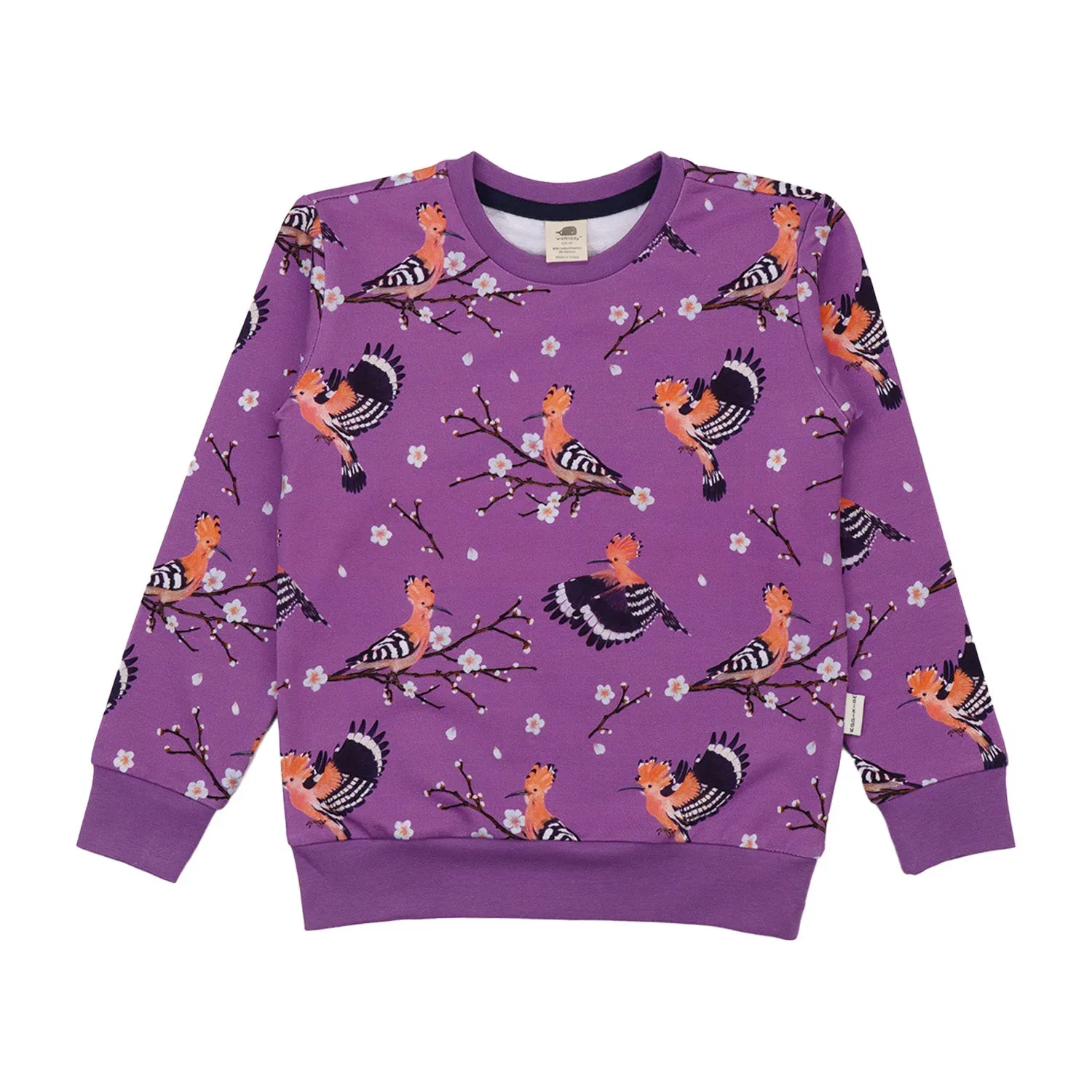 Свитшот с принтом Happy Hoopoes Walkiddy, разноцветный