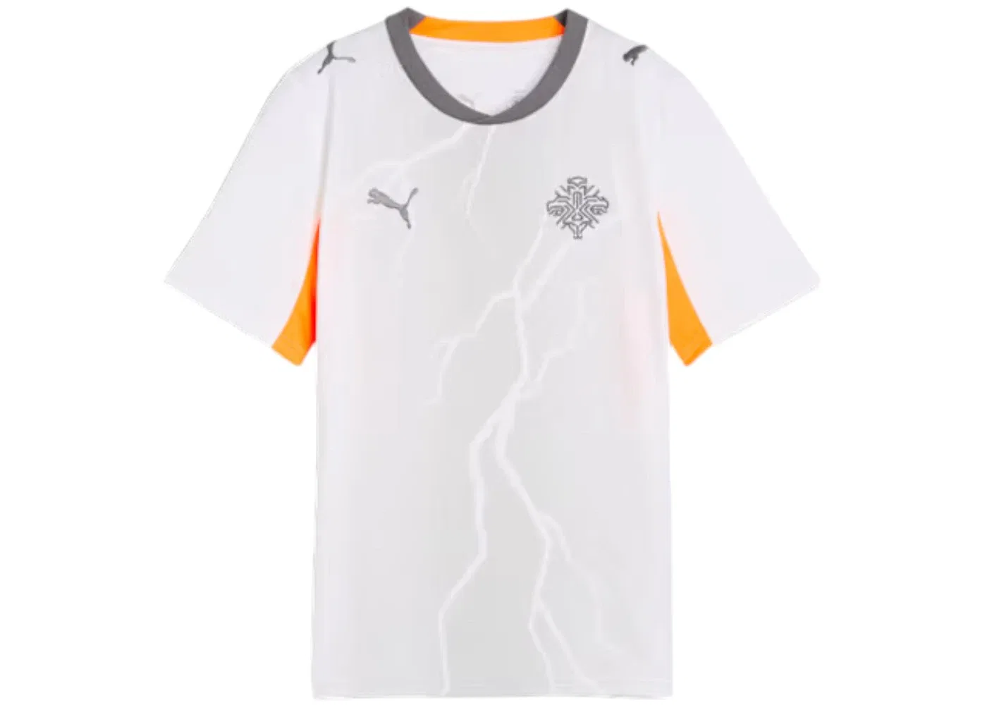 Детская футболка с длинным рукавом Jersey Puma Puma White Cool Dark Gray