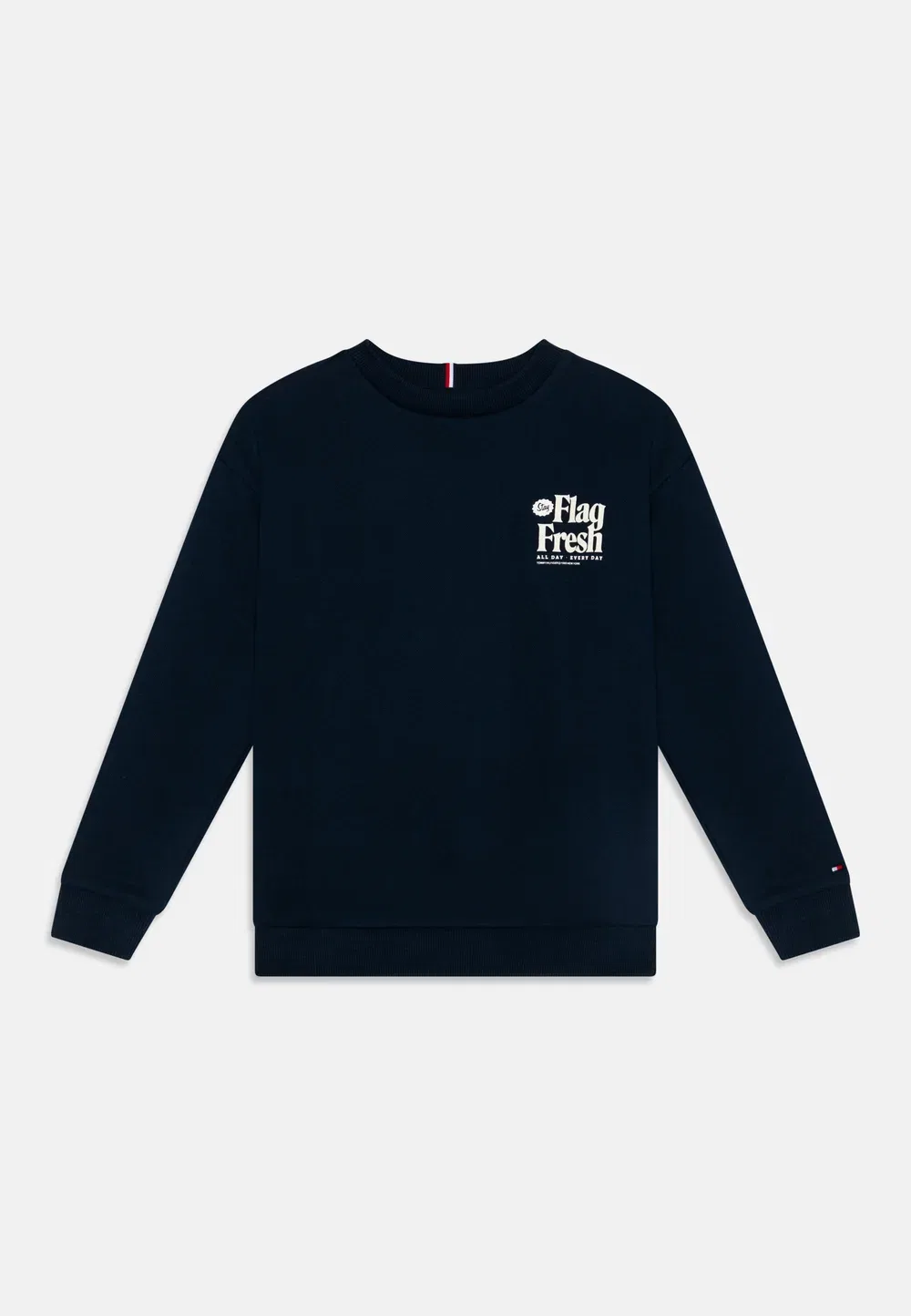 Забавная толстовка унисекс с принтом в виде флага на спине Tommy Hilfiger, Dark Night Navy — фото 3