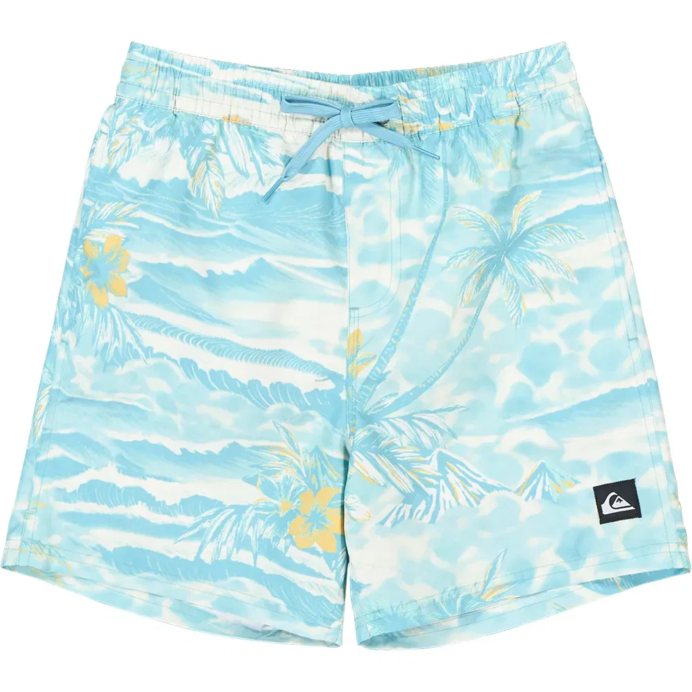 Плавки Everyday Printed Volley 14″ Quiksilver, синий