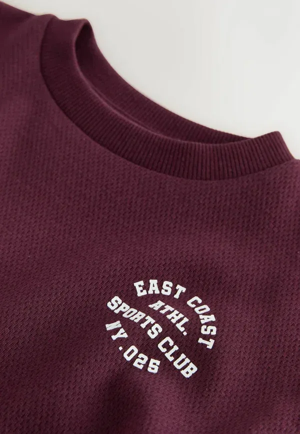 Футболка с принтом Regular Fit Varsity Relaxed Fit T-shirt Next, berry red, красный — фото 2