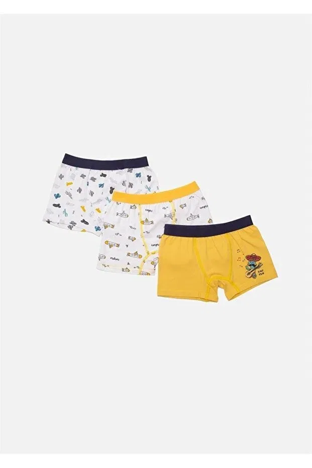 Детский комплект боксеров для мальчиков с принтом Cactus and undersea Çamaşırcımshop, Mixed Color Package